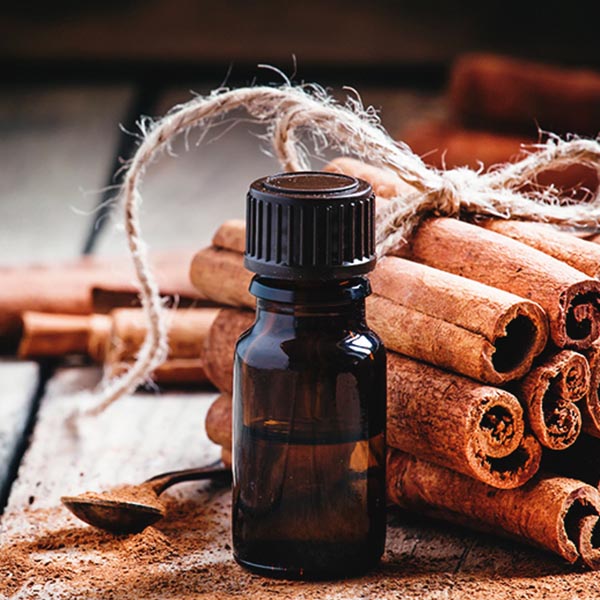 A bottle of aromatic cinnamon essential oil